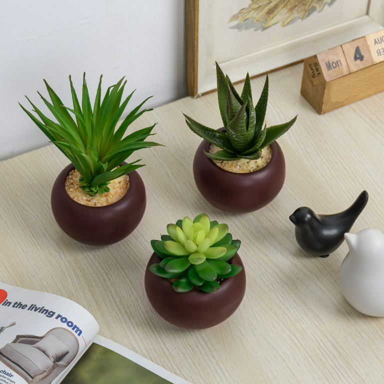 MyGift Mini Artificial Cactus Plants - Faux Assortment Succulent Plants in  Square White Pots, 5-Inch, Set of 4