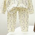 thumbnail image 5 of HCNTES Toddler Baby Girls Clothes 3 6 12 18 24 Months 2T 3T 4T 5T Fall Winter Outfits Pullover Long Sleeve Print Cotton Warm Sweatshirt Pants Sweatsuit Set, 5 of 5