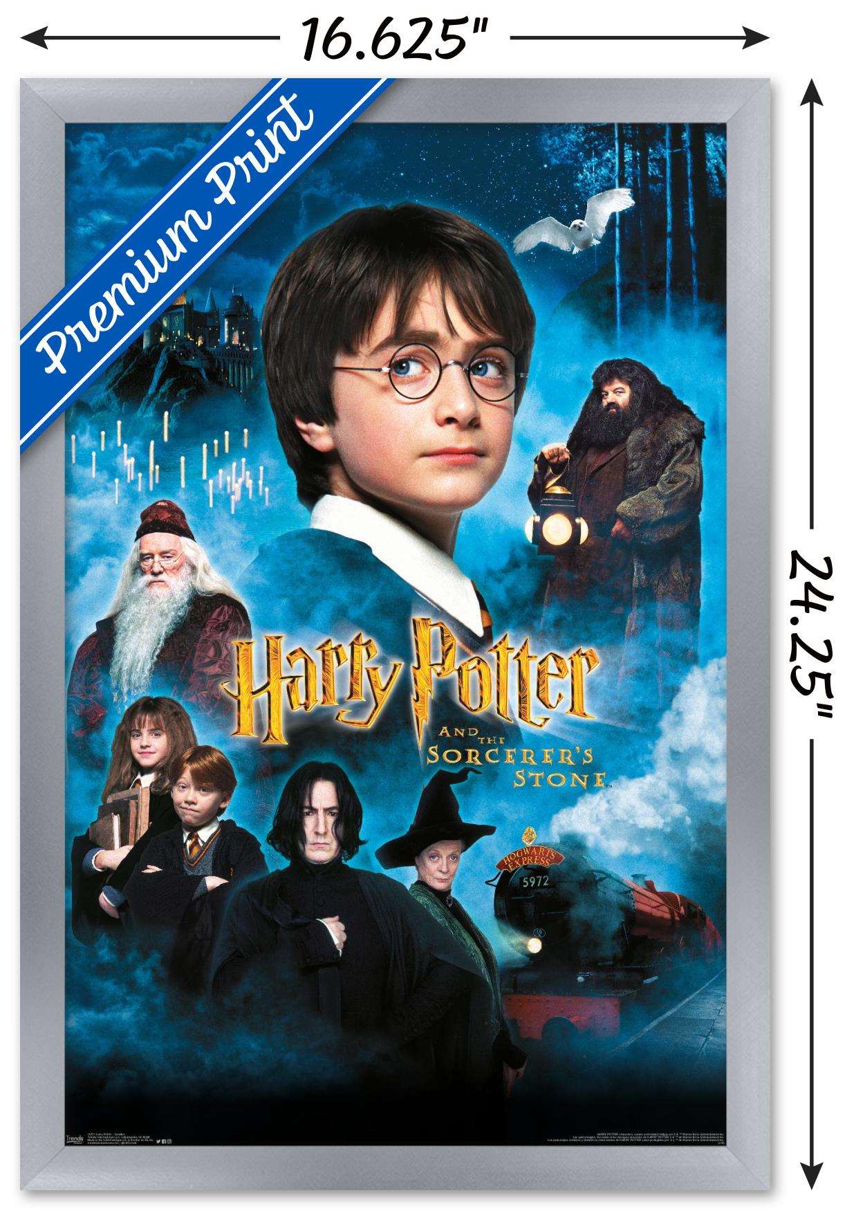 Harry Potter and the Sorcerer's Stone - Candles One Sheet Wall Poster, 14.725" x 22.375", Framed