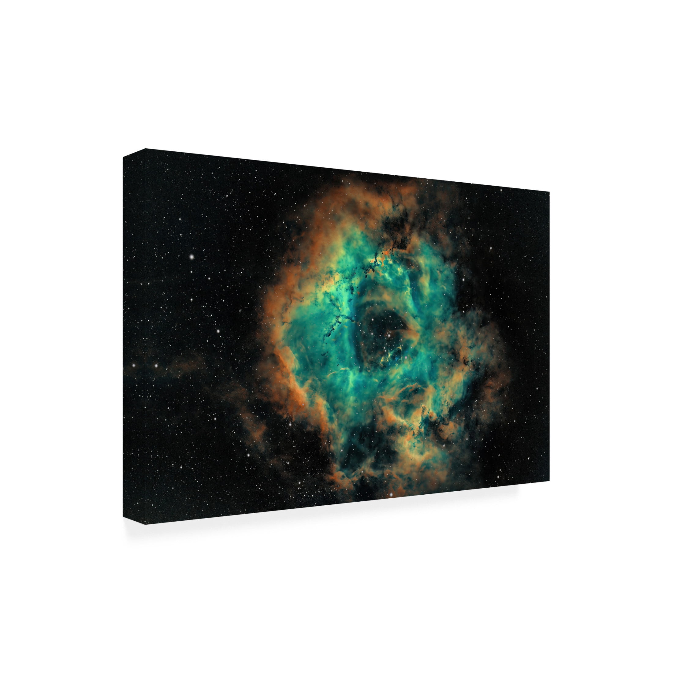 Trademark Fine Art TaranSohal  The Rosette Canvas Wall Art