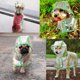 thumbnail image 5 of Chubasquero y Cortavientos TUNC para Perros con Capucha Transparente M, 5 of 5