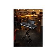 Korg Pa600 Defined Nuance Control LCD 20W Professional Arranger, Black, 3.94