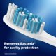 thumbnail image 2 of Cepillo dental Oral-B Cavity Defense suave, paquete de 6, 2 of 8