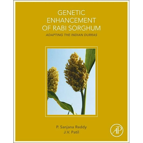 Genetic Enhancement of Rabi Sorghum: Adapting the Indian Durras, (Paperback)