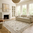 thumbnail image 6 of Addison Rugs Chantille Indoor/Outdoor Traditional Ivory Machine Washable Rectangle Rug, 9' x 12', 6 of 8