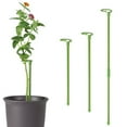 thumbnail image 2 of Pot Stand Forme Plante Anti-Rouille Durable Anti-Déformée Longue Durée Larges Applications Réutilisables Plante Escalade Robuste Plante Supports Piquets pour Amaryllis, 2 of 8