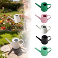 thumbnail image 2 of Mini Metal Watering Can for Indoor Plants, Small Garden Watering Jug with Galvanized Spout for Succulents Bonsai Flowers,Black,250ML / 8.4Oz, 2 of 6