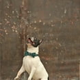 thumbnail image 4 of Laklulu Christmas Dog Collar Adjustable Snowflake Pattern Green with Bow Tie in 4 Sizes, 4 of 5
