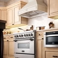 thumbnail image 6 of ZLINE 321GG-RS-30-400  Wall Range Hood, 6 of 7