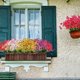 thumbnail image 2 of 20 paquetes de flores artificiales para exteriores, resistentes a los rayos UV, flores falsas que no se destiñen, arbustos verdes de plástico sintético, decoración de caja de ventana para porche y jardín Zhivalor CZJJ-HQ3-1, 2 of 7