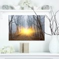 thumbnail image 1 of Yellow Sun Rays in Misty Forest - Landscape Photography Canvas Print, 1 of 3
