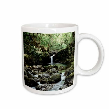 3dRose Hawaii, Maui, A waterfall flows into Blue Pool from the rainforest. - Ceramic Mug,