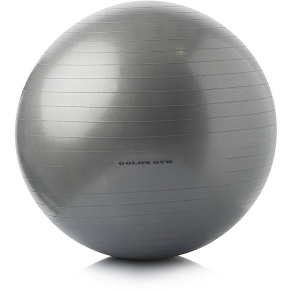 Gold's Gym Exercise Balls