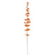 thumbnail image 2 of 20 piezas de Flores artificiales Matsuzay Naranja Eucalipto, 2 of 6