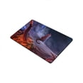 thumbnail image 2 of CADecor Leopard Doormat Indoor Outdoor Floor Rug 23.6x15.7 inches, 2 of 2