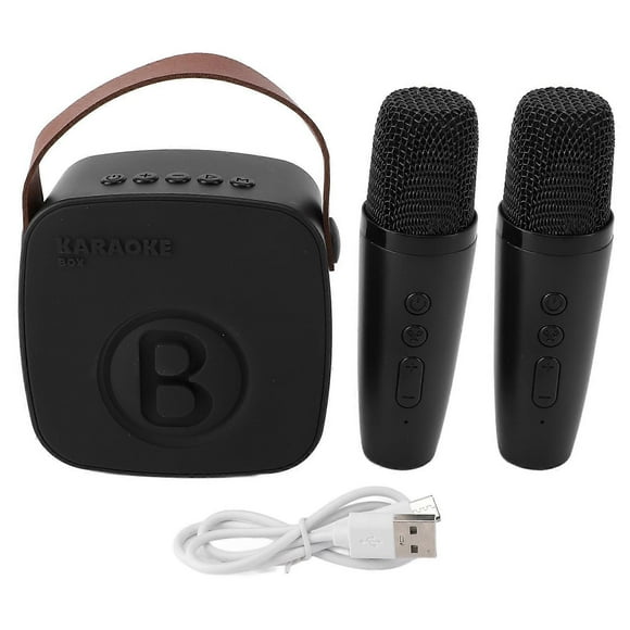 Portable Bluetooth Kids Karaoke Speaker Professional Mini Karaoke Machine for Baby Black Double Microphone