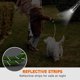 thumbnail image 4 of Correa de nailon para perros con asa acolchada y luz reflectante, correa resistente para mascotas, correa redonda reflectante para perros (Verde L), 4 of 5