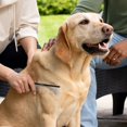 thumbnail image 4 of Peine desenredante Tweezerman de doble cara para perros y gatos, 4 of 9