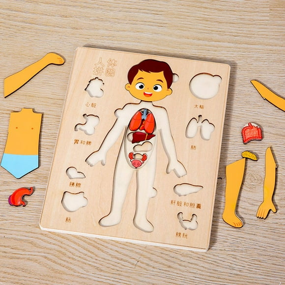 EASTIN Wooden Body Puzzles for Kids  Toddler Montessori Boys and Girls Anatomy Puzzle  Human Body Learning Toy with Internal Organs Early Educational Toy for Boys and Girls Ages 3 4 5 6 Y