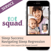 Sleep Success: Navigating Sleep Regression - Powered by Tot Squad (30 Min Consultation)
