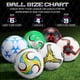 thumbnail image 3 of Set de 6 balones de fútbol Deekin con bomba, tamaño 5, 3 of 6