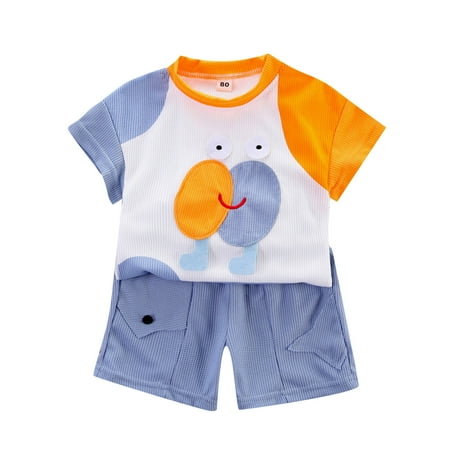 

ZRBYWB Kids Toddler Baby Unisex Spring Summer Print Cotton Ribbed Short Sleeve Tshirt Shorts Outfits Clothes Summer Clothes