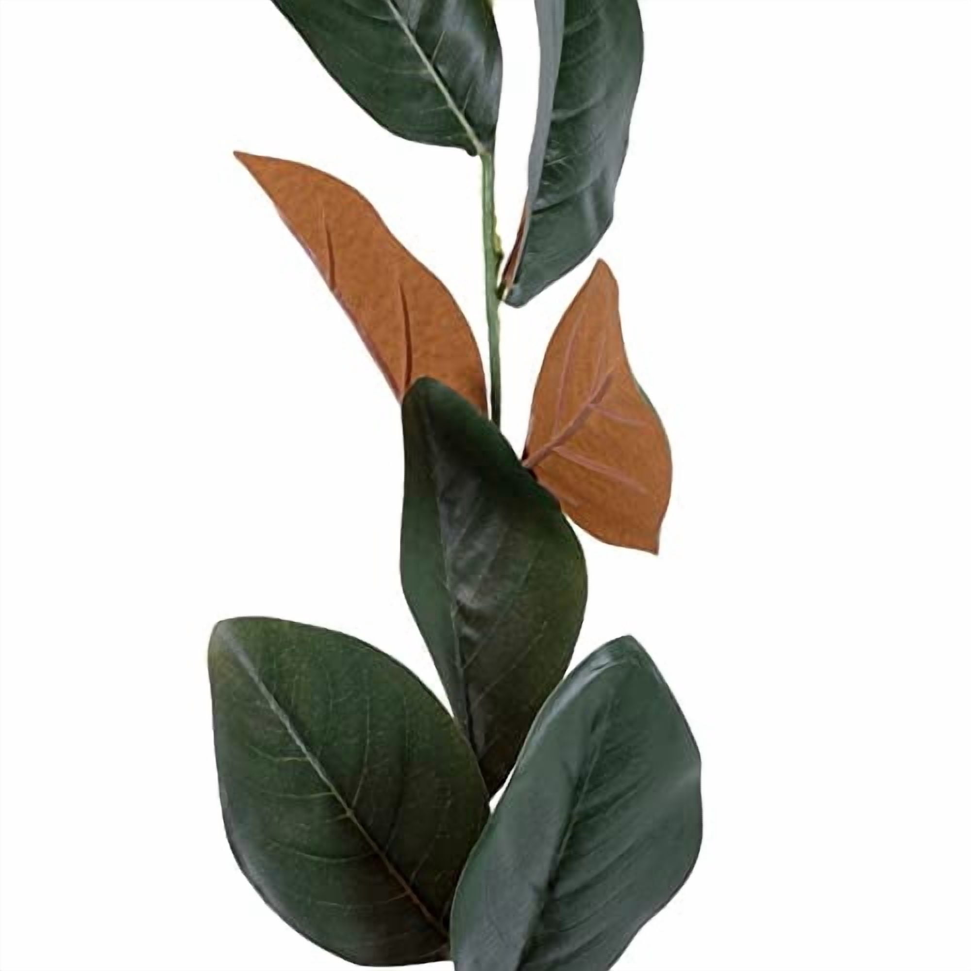 Ashland 6ft. Green and Brown Magnolia Leaf Garland