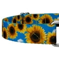 thumbnail image 7 of Country Brook Petz® Sunflowers Martingale Dog Collar, Large, 7 of 7