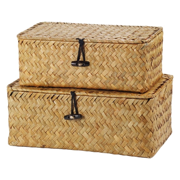 Finew 2-Pack Seagrass Storage Baskets with Lids, Woven Shelf Bins for Organizing, Boho Decor, Natural
