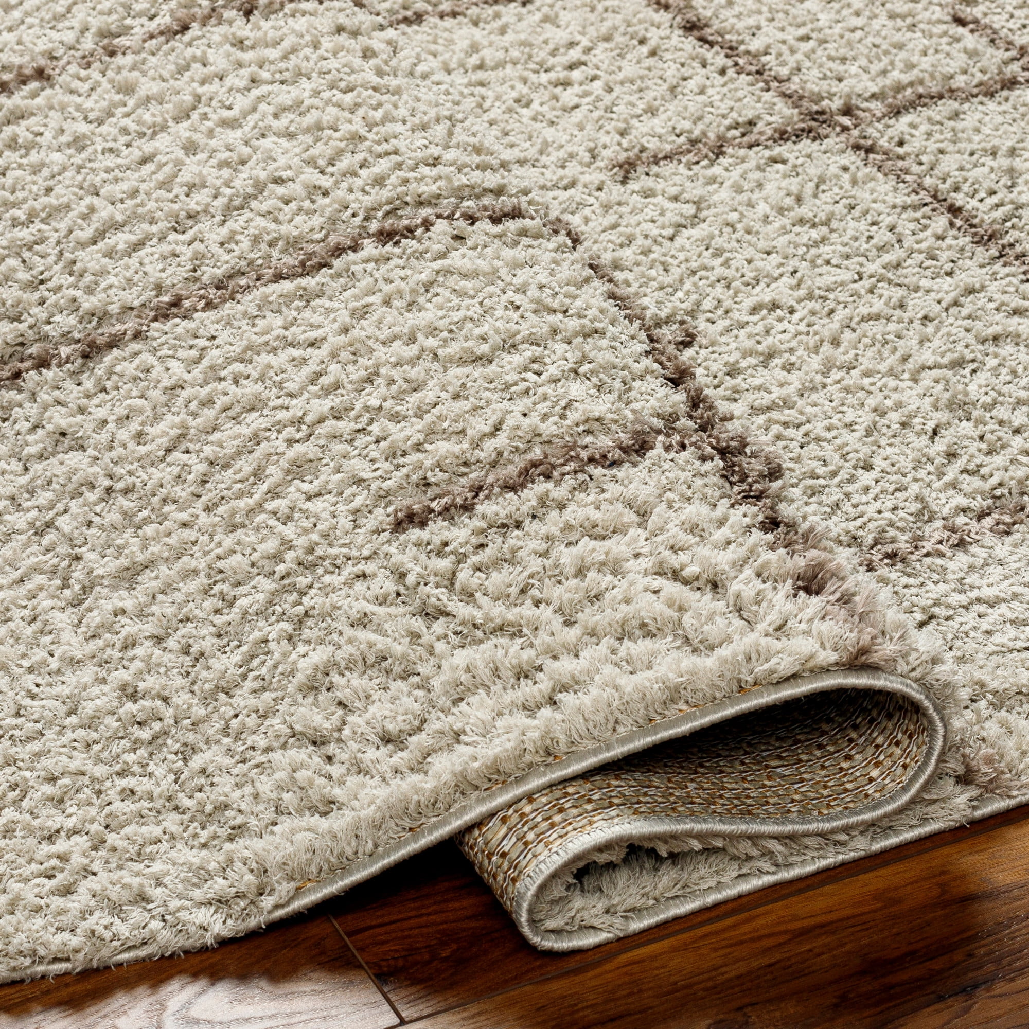 Artistic Wavers Maryland Shag Area Rug, 5'3" x 7', Taupe/Brown