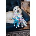 thumbnail image 4 of Juguete para Perro ZippyPaws Mono Crujiente 2-Pack de Peluche Chirriante, 4 of 8