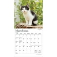 thumbnail image 3 of For the Love of Kittens | 2026 7x14" (Hanging) Monthly Mini Wall Calendar | Plato, 3 of 9