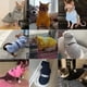 thumbnail image 4 of Security Cat Clothes Pet Cat Coats Jacket Hoodies For Cats Outfit Warm Pet Clothing Rabbit Animals Pet Costume For Small Dogs ShopWise Round, 4 of 20