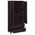 Wooden Cabinets, Nestor Tobacco 2-drawer Tall Accent Cabinet with 2 ...