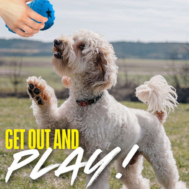 Nerf Dog Rubber Tire Treat Feeder, 4-Inch 2-Pack photo 4