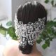 thumbnail image 3 of Conjunto de Pendientes de Collar de Cristal de Joyería de Boda Nupcial Colgante Largo de Mariposa , Diadema B Plata Yinane banda de pelo de la boda, 3 of 8