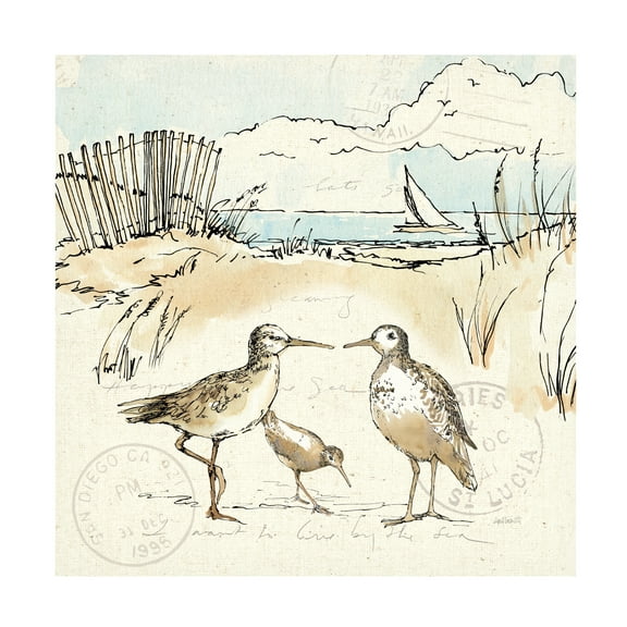 Anne Tavoletti 'Coastal Breeze XI' Canvas Art