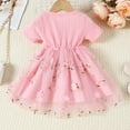 thumbnail image 3 of LLYWEY Toddler Girl Summer Dresses, Kids Mesh Floral Embroidered Crew Neck Short Sleeve Dresses Baby Girl Princess Party Pleated A-Line Casual Sundress, Style BY-58, Pinks, 12 Months, 3 of 8