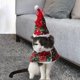 thumbnail image 1 of Capa y Sombrero Yinane 2 Piezas Disfraz de Gatito para Perros y Gatitos S, 1 of 8
