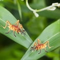 thumbnail image 6 of Ksopiavobs Realistic Animal Figures Cricket Figurines Insect Toy, Science Project, Cake Topper, Early Educational Toys Birthday for Toddlers Kids Age 3 4 5, 6 of 6