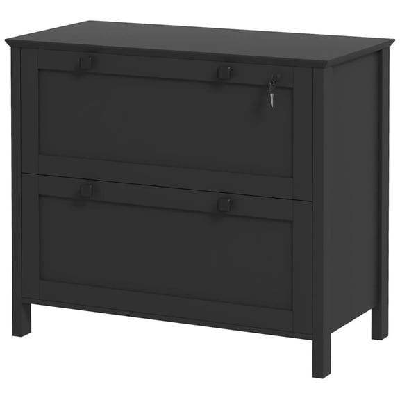 Topcobe Lateral File Cabinet, 2 Drawer Filing Cabinet with Adjustable Hanging Bar for Letter, A4 and Legal Size, Modern Furniture for Indoor, Black