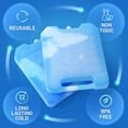 thumbnail image 3 of Everlasting Ice RX Large Reusable Ice Packs for Coolers with Handle, Long-Lasting Freezer Packs for Extended Cooling, 4-Pack, 3 of 6