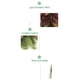 thumbnail image 4 of Ramas de ciprés artificial nevadas con agujas de pino, púas de pino escarchadas falsas, vegetación, piñas de árbol de Navidad, tallos para arreglos navideños de temporada, decoración blanca de, 4 of 6