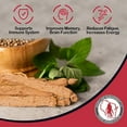 thumbnail image 4 of Dairyland Management LLC Red Panax Ginseng Slices - 8 oz Pack Korean Panax Ginseng Slices - Non-GMO, Gluten Free Red Ginseng Root Slices - Use This Herbal Supplement in Soup, Tea, Congee, 4 of 6