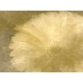 thumbnail image 2 of Allen, Kimberly 18x15 Gold Ornate Wood Framed with Double Matting Museum Art Print Titled - Golden Petals, 2 of 4