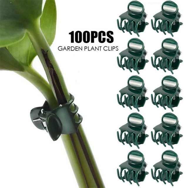 Meitianfacai 100 Pcs Pince de Fixation Phalaenopsis pour Branches de Support de Vignes Horticoles