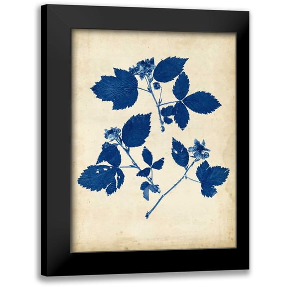 Vision Studio 12x14 Black Modern Framed Museum Art Print Titled - Indigo Leaf Study VI
