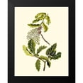 thumbnail image 2 of Unknown 20x24 Black Modern Framed Museum Art Print Titled - Olive Greenery III, 2 of 5