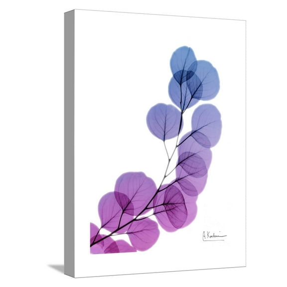 Art.com Eucalyptus in Purp Stretched Canvas Print Wall Art by Albert Koetsier, 12" x 16"