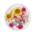 thumbnail image 2 of Uñas postizas, regalos para mujeres, decoración de uñas con flores secas, uñas japonesas, encaje 3D inmortal, juego de narcisos, lentejuelas para uñas., 2 of 2